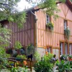 Notre gite vu depuis le jardin en &eacute;t&eacute; ainsi que notre chatte Momo