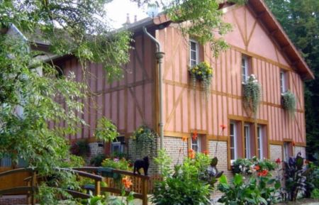 G&icirc;te n&deg;52G273 &Eacute;claron-Braucourt-Sainte-Livi&egrave;re - Haute-Marne - Notre gite vu depuis le jardin en &eacute;t&eacute; ainsi que notre chatte Momo